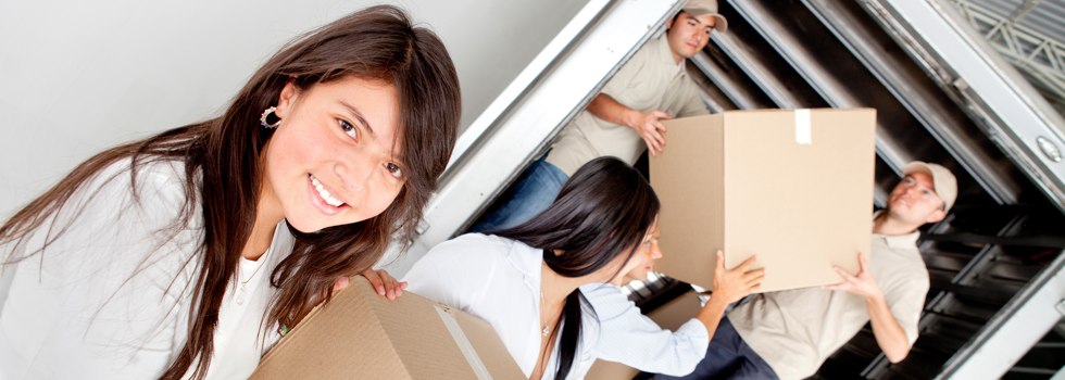 Professional Removalists Monteith